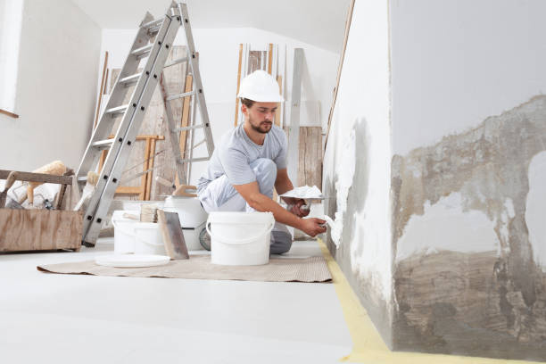  Doctor Phillips, FL Dry wall and painting Pros