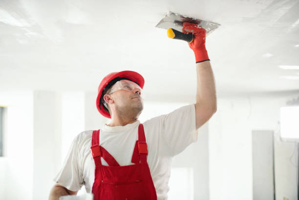 Best Water-Damaged Drywall Repair  in Doctor Phillips, FL