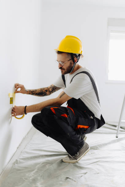 Best Commercial Painting  in Doctor Phillips, FL